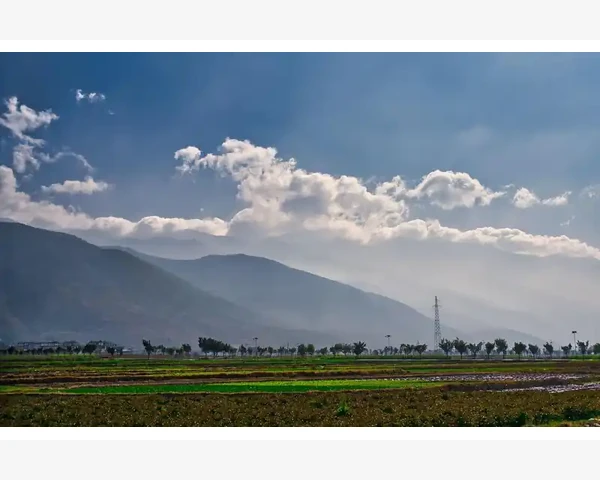 灵芝的煮法：中医科普，止咳化痰最好用