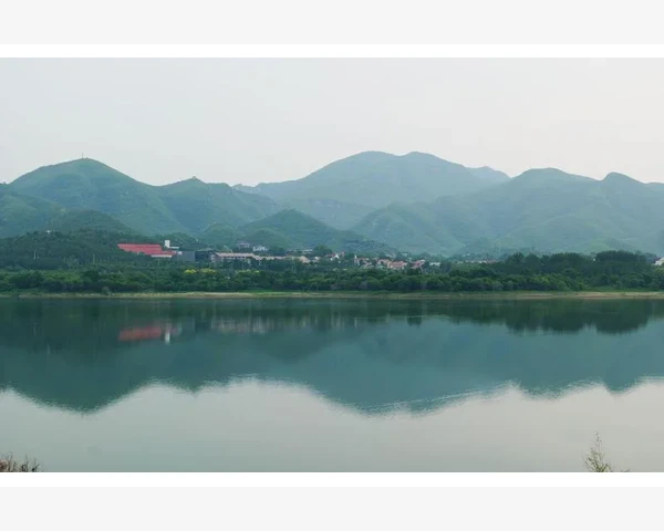 五苓汤：脾胃虚寒的理想选择！